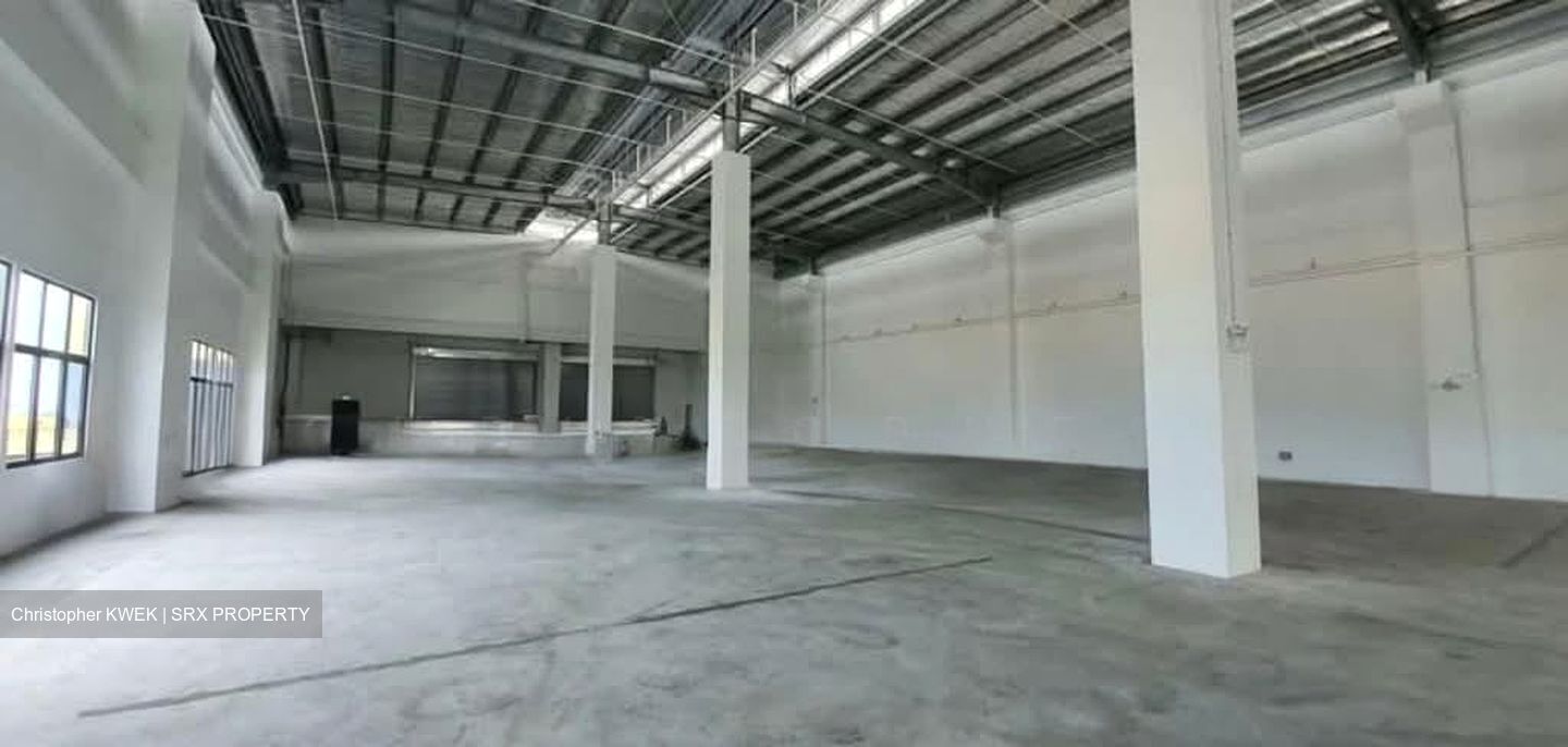 LINER (D22), Factory #557281471